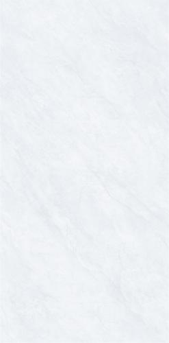 J12636