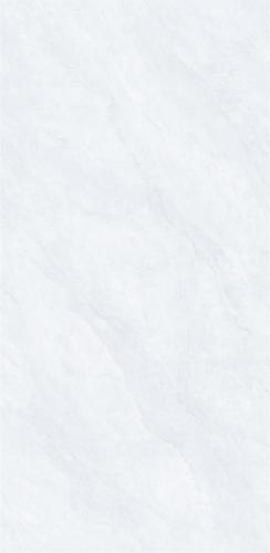J12636