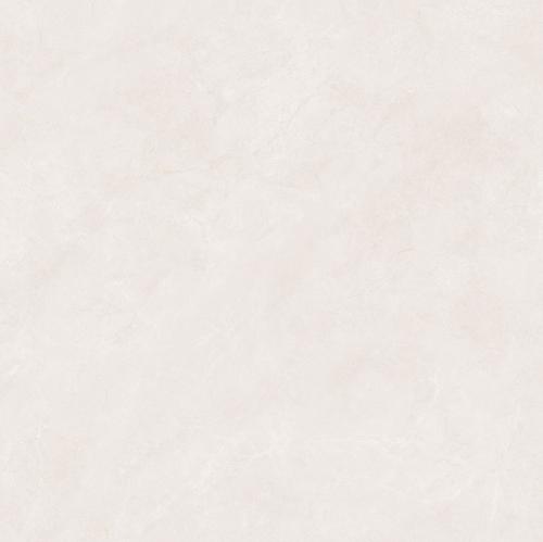 8205