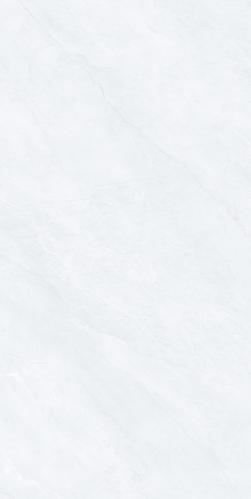 J48036