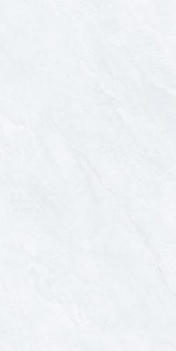 J48036
