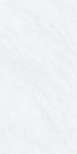 J48036